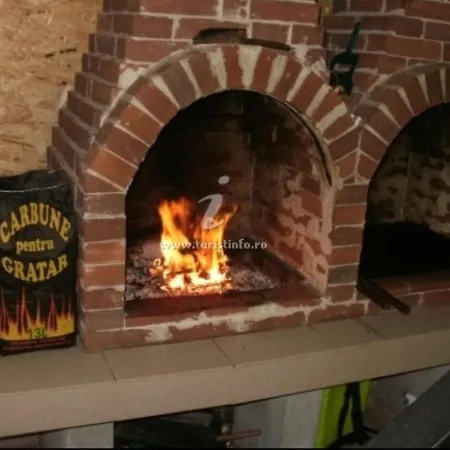 Crizantema Costinești